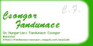 csongor fandunace business card